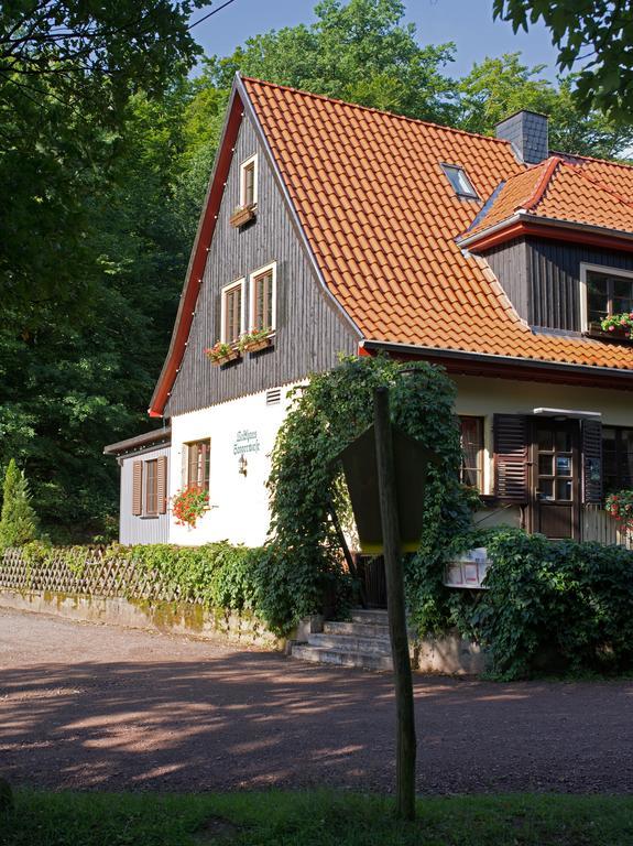 Saengerwiese Eisenach Pokoj fotografie