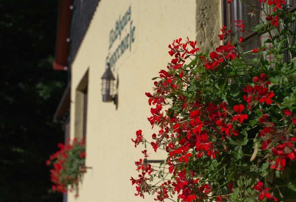 Saengerwiese Eisenach Pokoj fotografie