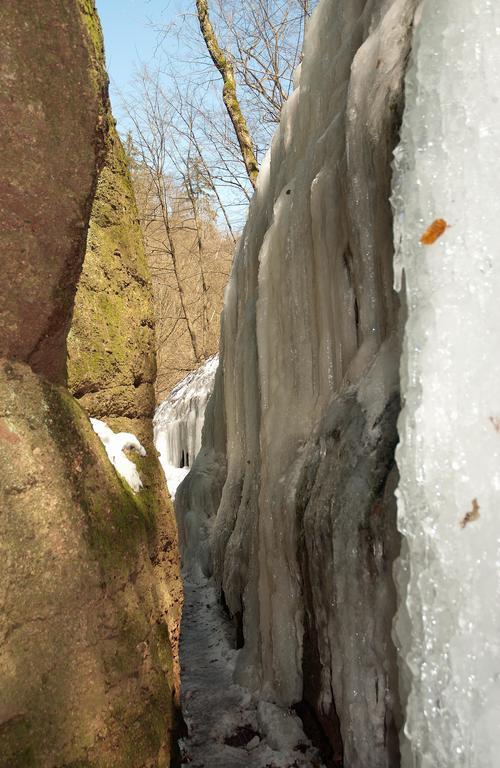Saengerwiese Eisenach Exteriér fotografie