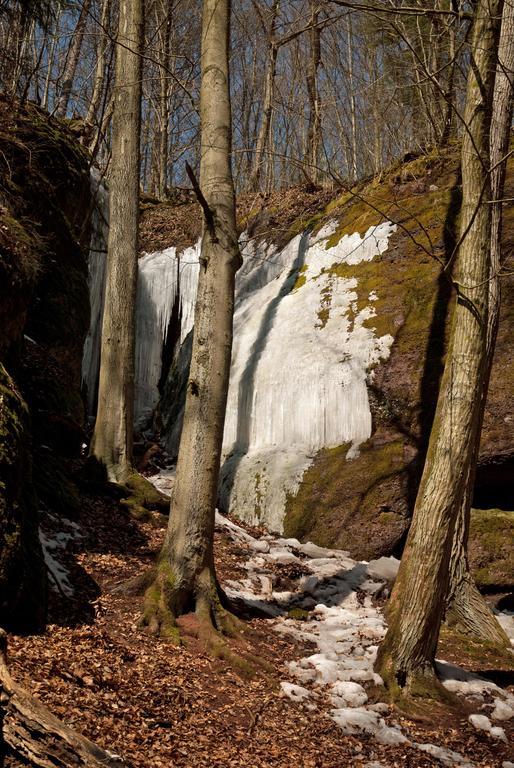 Saengerwiese Eisenach Pokoj fotografie