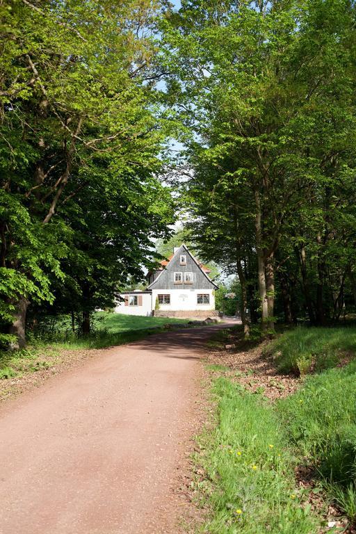 Saengerwiese Eisenach Pokoj fotografie