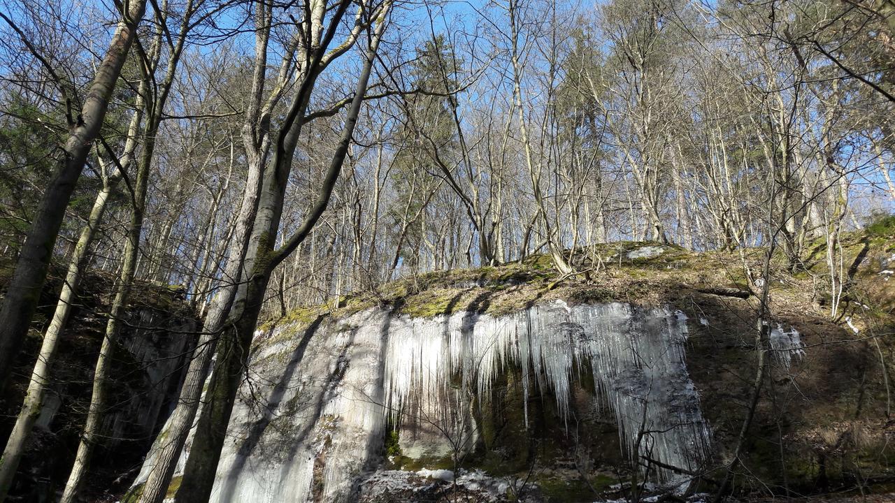 Saengerwiese Eisenach Exteriér fotografie