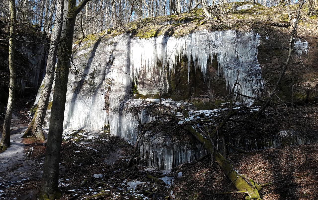 Saengerwiese Eisenach Exteriér fotografie